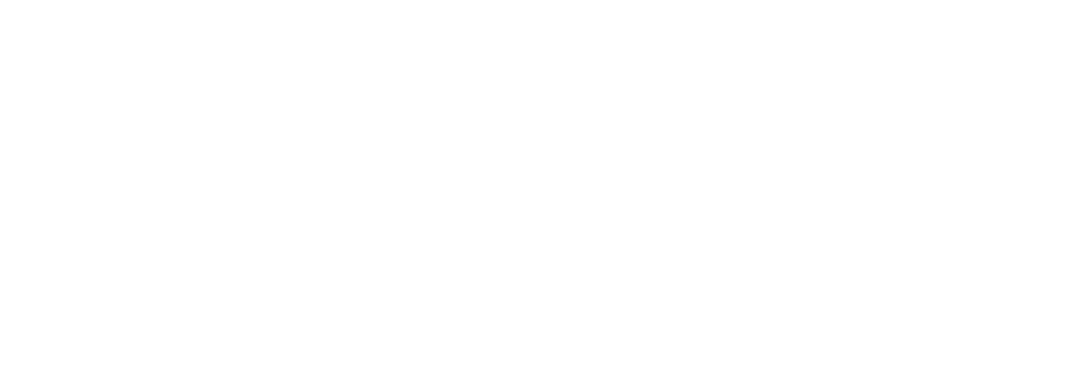 Perro
